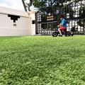Little Big Pre-School – Telok Kurau Road | Product Seen: [Synthetic Grass Carpet]